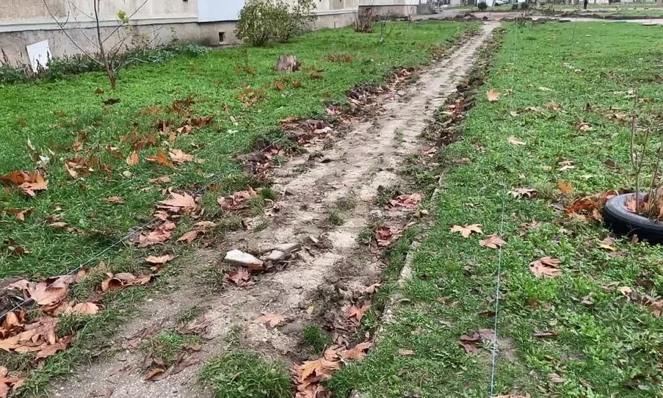 ������� ���������: � ���� ���������� ����� �� ��������������� "������� ������" � ��������