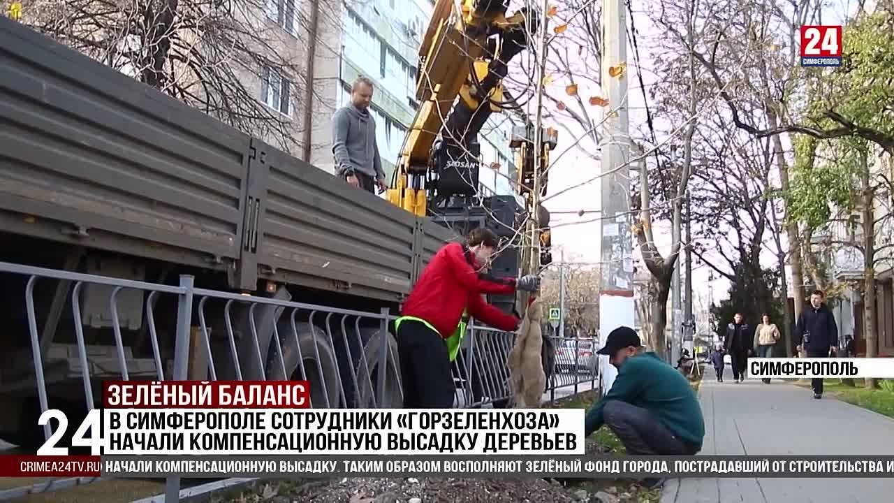 В Симферополе сотрудники «Горзеленхоза» начали компенсационную высадку деревьев