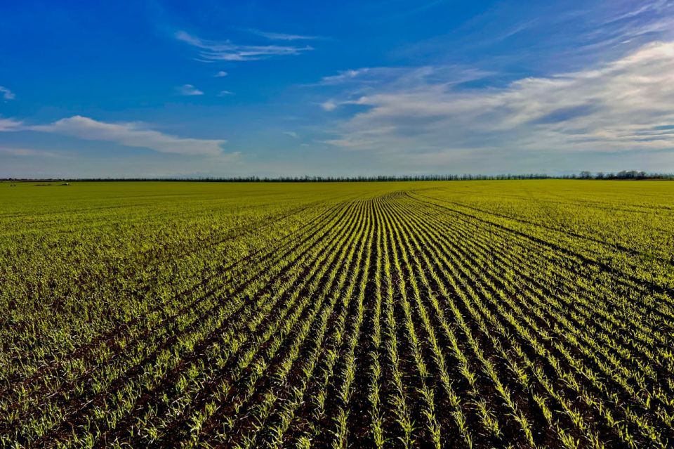 ������� ����� ������������� ���� ������ ������ ������� ��� ������ 2026 ����