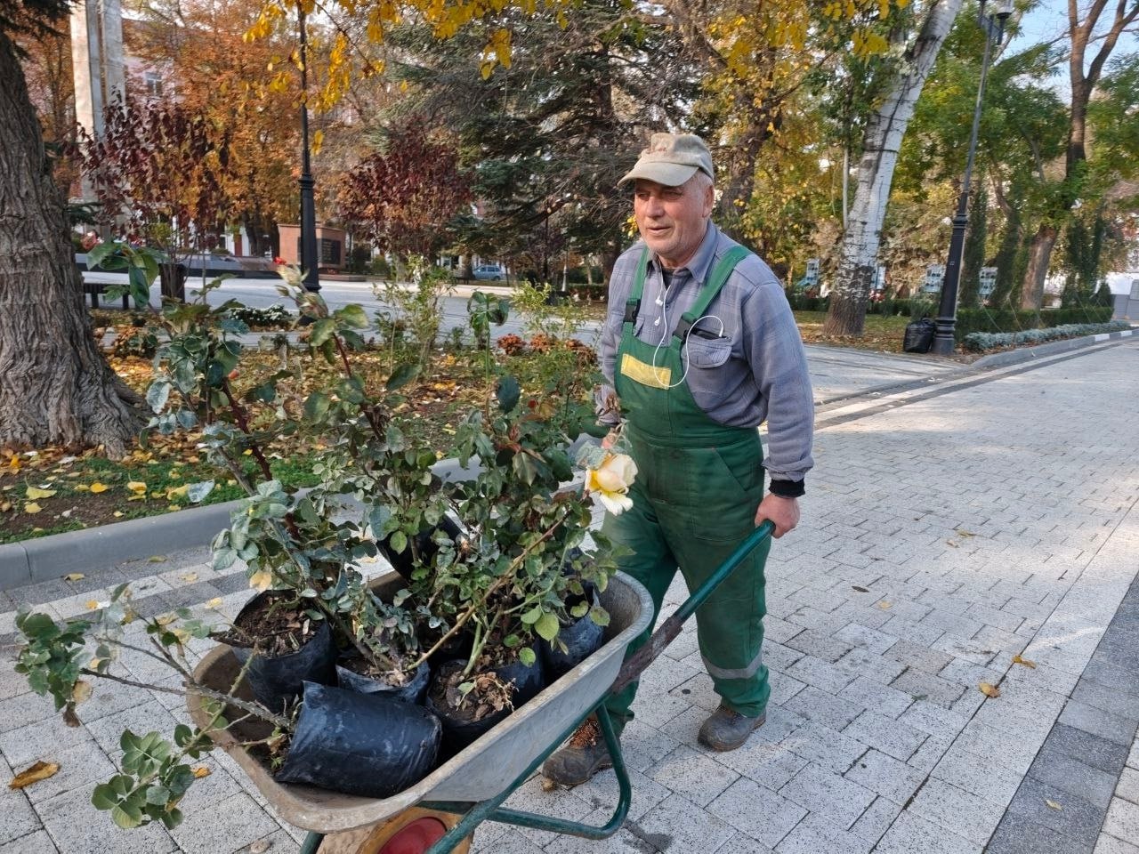 Владимир Ким: Этой осенью Феодосию украсят ещё около 2тысяч кустарников роз Владимир Ким: Этой осенью Феодосию украсят ещё около 2тысяч кустарников роз