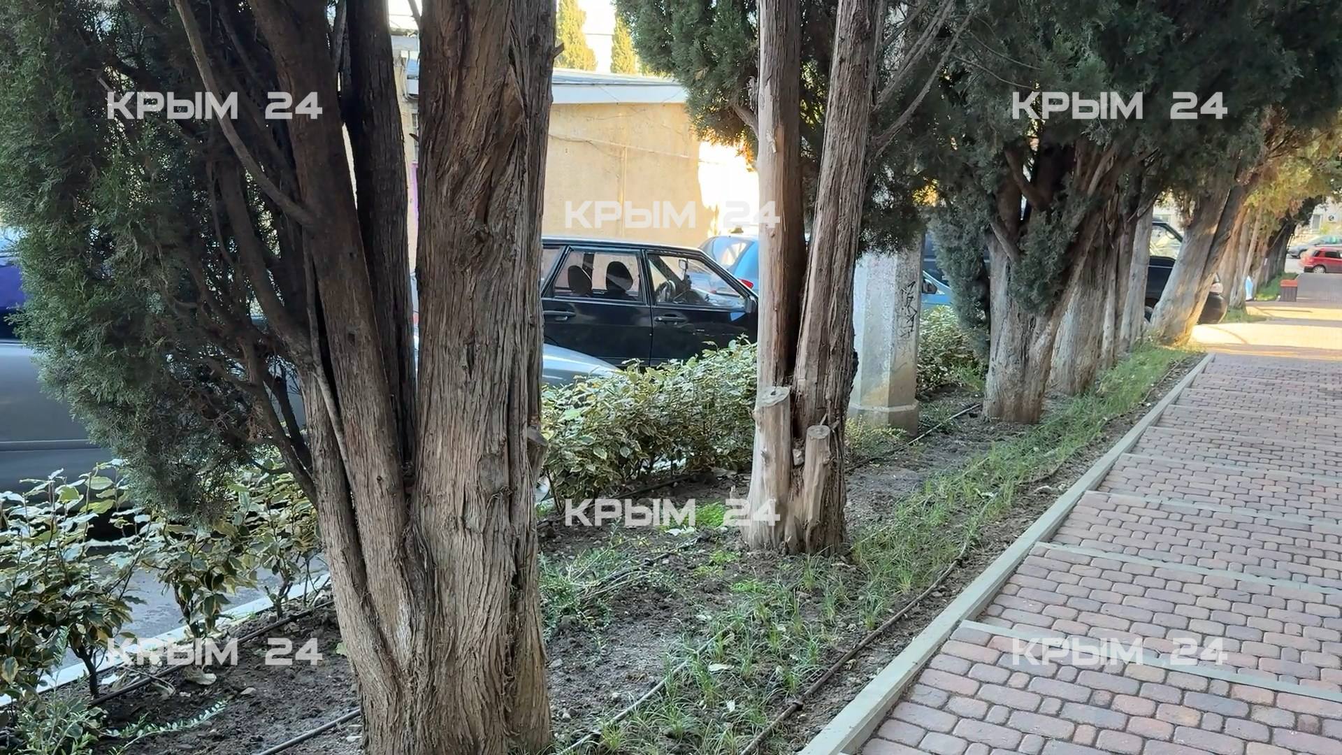 Около 40 тыс. растений высадили в Большой Алуште Около 40 тыс. растений высадили в Большой Алуште