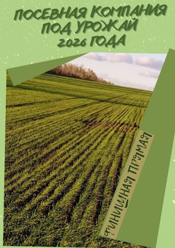 Сельскохозяйственными предприятиями района на сегодняшний день посеяно 98% запланированных озимых культур, что составляет впечатляющие 24 992 гектаров