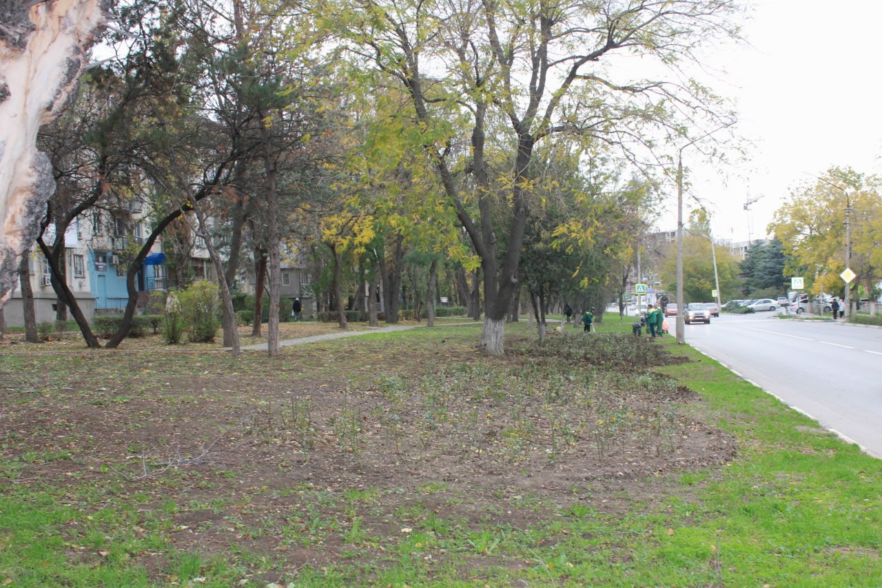 Владимир Ким: Этой осенью Феодосию украсят ещё около 2тысяч кустарников роз Владимир Ким: Этой осенью Феодосию украсят ещё около 2тысяч кустарников роз