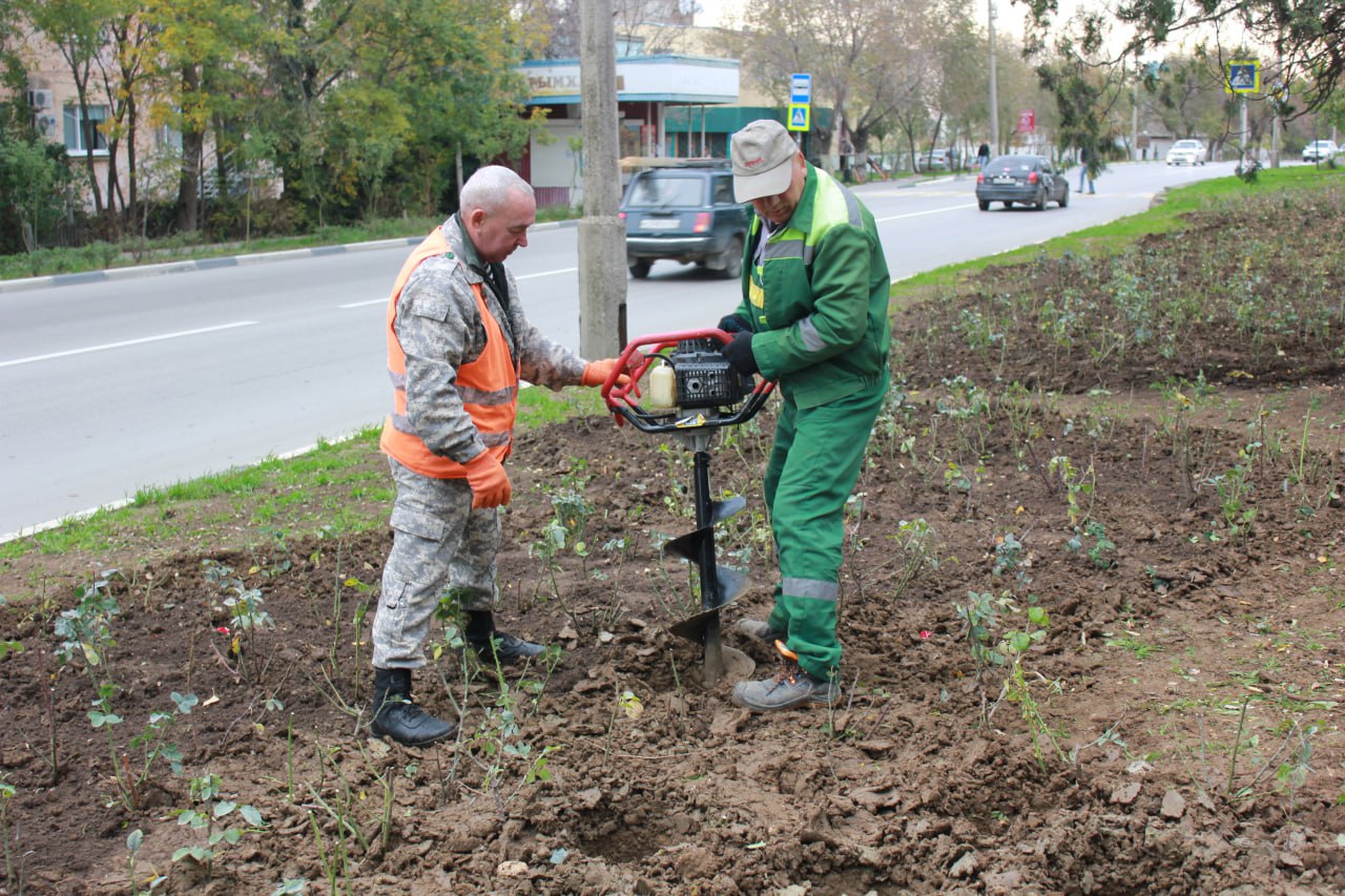 Владимир Ким: Этой осенью Феодосию украсят ещё около 2тысяч кустарников роз Владимир Ким: Этой осенью Феодосию украсят ещё около 2тысяч кустарников роз
