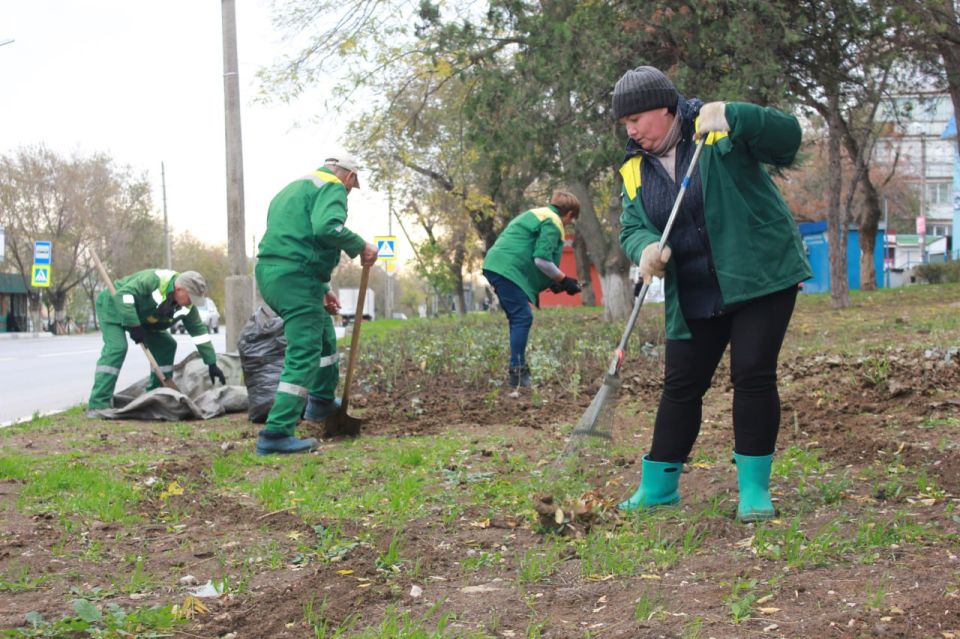 �������� ���: ���� ������ �������� ������� ��� ����� 2����� ����������� ���