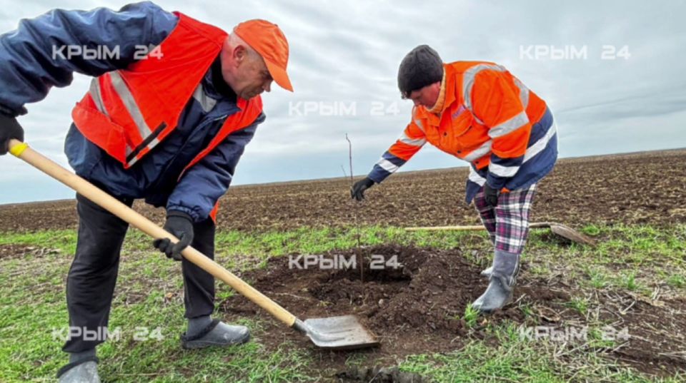 � ����� ������������ ���������� ������ �� ���������� ������ ���������