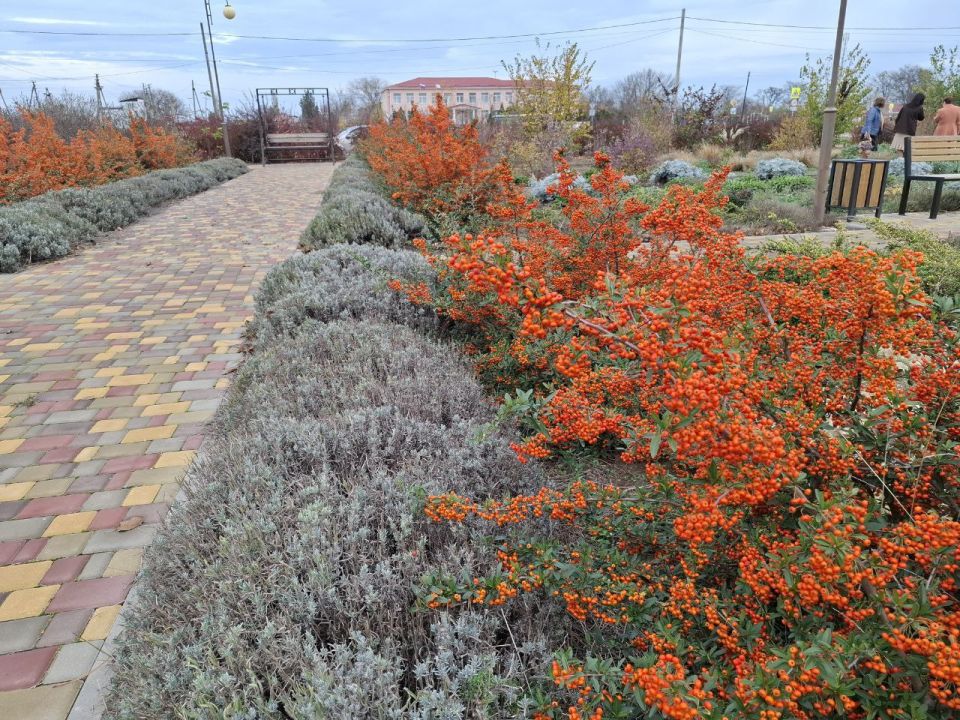 ��������� ��������: ���� ������������� � ���� ��������������: ������ ������ ������������� �������������� � ��������� ������� �������