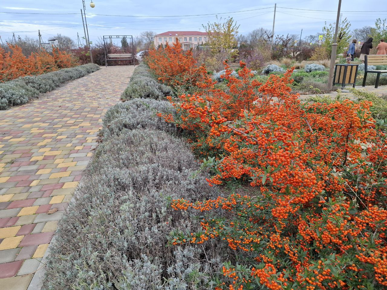 Александр Харламов: Парк «Возрождения» в селе Краснофлотском: символ успеха инициативного бюджетирования и активного участия жителей Александр Харламов: Парк «Возрождения» в селе Краснофлотском: символ успеха инициативного бюджетирования и активного участия жителей