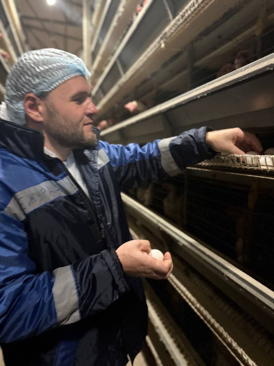 Крымский агропромышленный комплекс демонстрирует положительную динамику: по данным за отчетный период, сельскохозяйственными организациями Республики Крым было произведено более 149 миллионов яиц Крымский агропромышленный комплекс демонстрирует положительную динамику: по данным за отчетный период, сельскохозяйственными организациями Республики Крым было произведено более 149 миллионов яиц