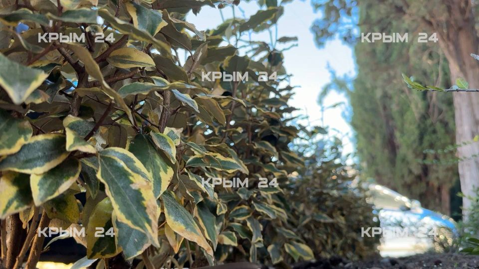 ����� 40����. �������� �������� � ������� ������