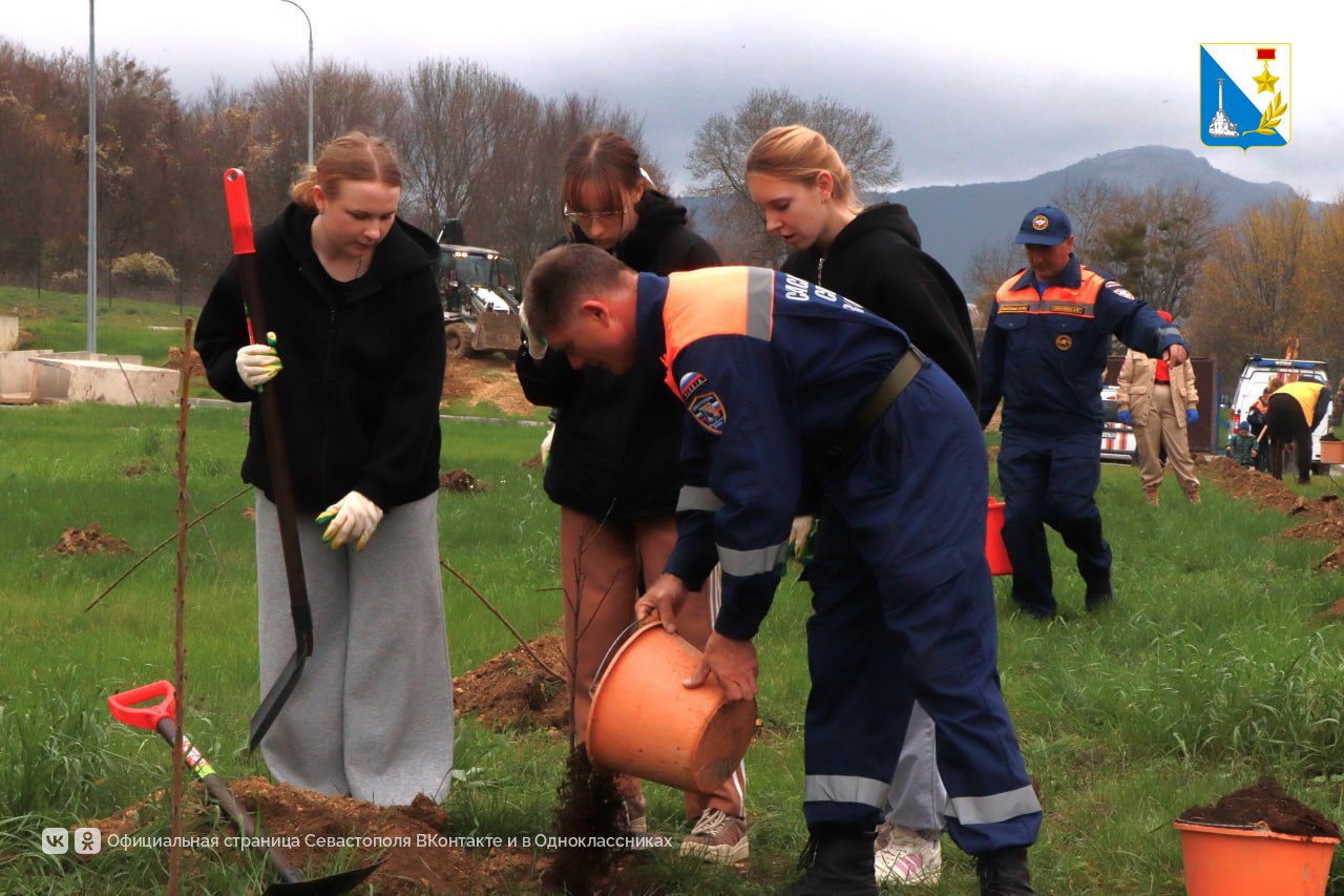 Пожарные и молодежь создали зелёную аллею в севастопольской части Пожарные и молодежь создали зелёную аллею в севастопольской части