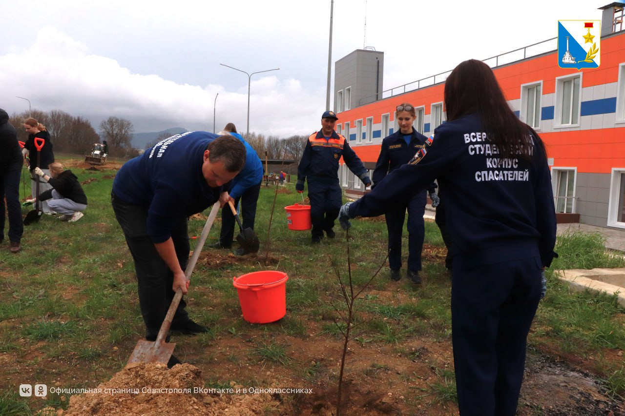 Пожарные и молодежь создали зелёную аллею в севастопольской части Пожарные и молодежь создали зелёную аллею в севастопольской части