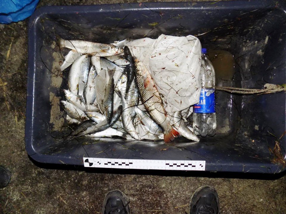 ���������� ������������ �������� �������� ���������, ���������� ����� ������ ������-�������