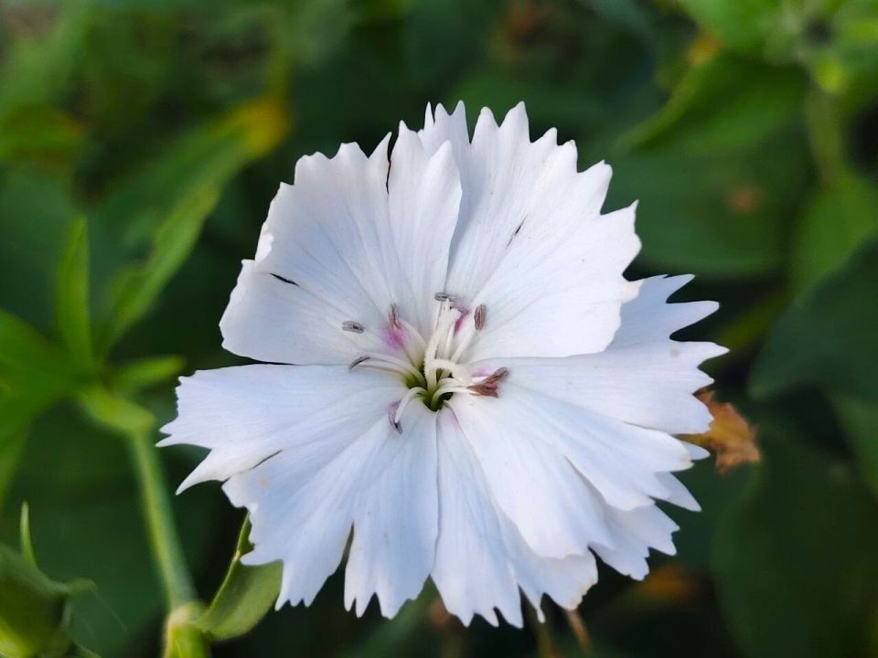 � ������ �����, �������!. ����� ���� ���� ����� ������, � ���� �����! ������� � �������� ������������ ���������� (�������� ��������� �����), t + 6 - +14, ����� ������, �����