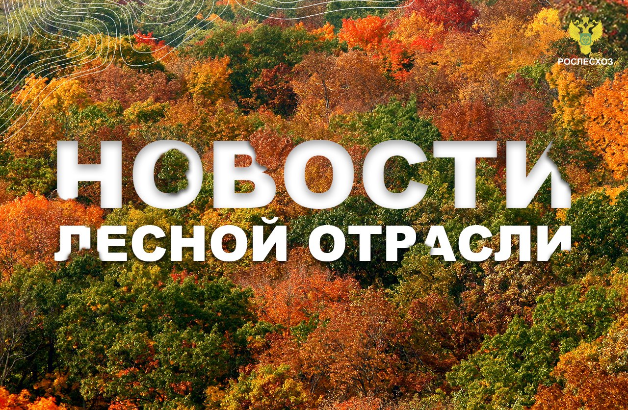 Минприроды Крыма информирует лесопользователей об изменениях в порядке подачи документации в ФГИС ЛК