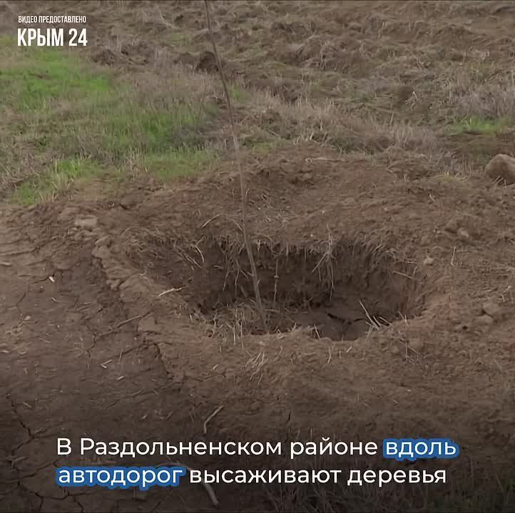 � ����� ������ ����� ��� ���������� ������ ������������� �����