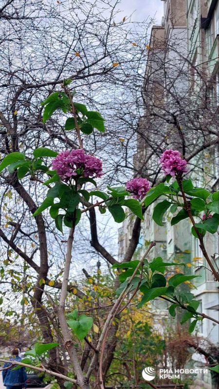 ������� ����� � ���, �� ��� ����� ��� �� ��������