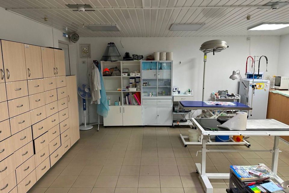 � ����������� ���������� ����������� �� ������������ �������� ����������