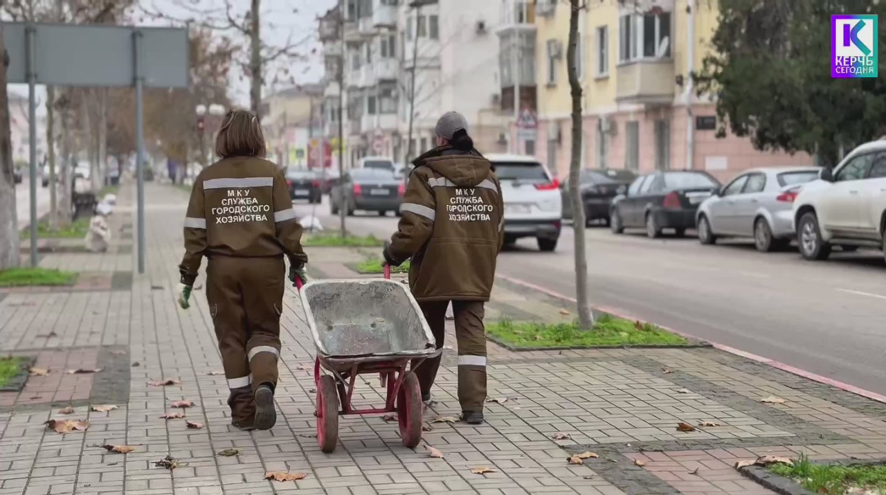 На улице Пирогова сотрудники Зеленхоза высаживают саженцы платанов