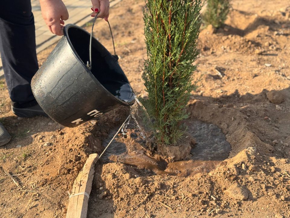 ������������ ������ �� ���������� ����� ������, ������� ���� ������������� � 2025 ����