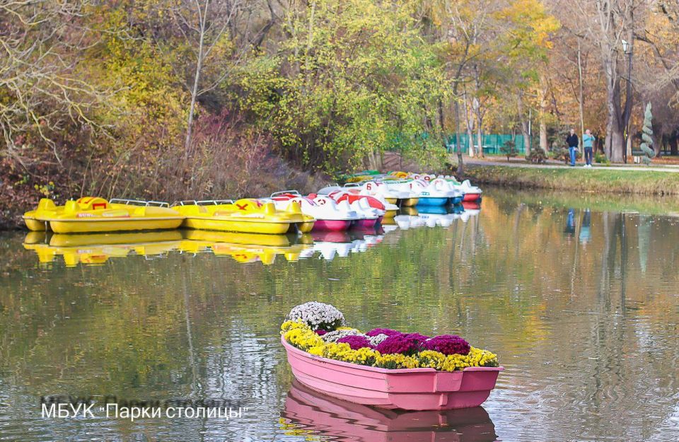 #фотофакт. Плавающая клумба в парке Гагарина: когда красиво и на суше, и на воде