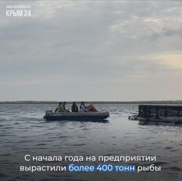 � ����� ���������� ����� ������������ ����