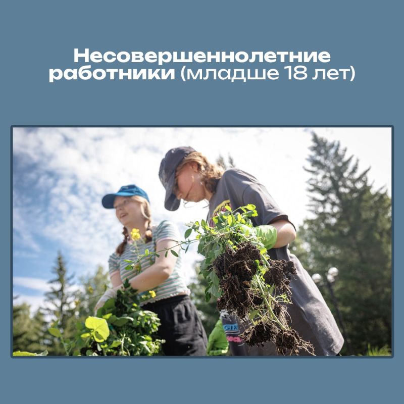 � ������-������� ����������� � ����������� ���������� ������ ��������