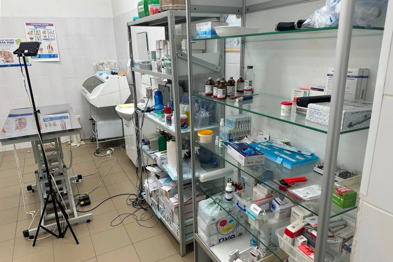 В Севастополе ветклиники оштрафовали за неправильное хранение биоотходов В Севастополе ветклиники оштрафовали за неправильное хранение биоотходов