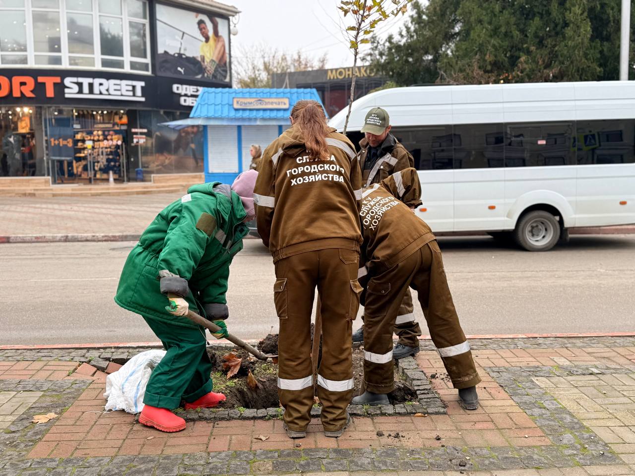 На улице Пирогова сотрудники Зеленхоза высаживают саженцы платанов На улице Пирогова сотрудники Зеленхоза высаживают саженцы платанов