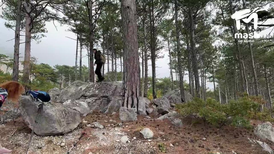 Дождались вторую серию нашего восхождения на Шаан Кая