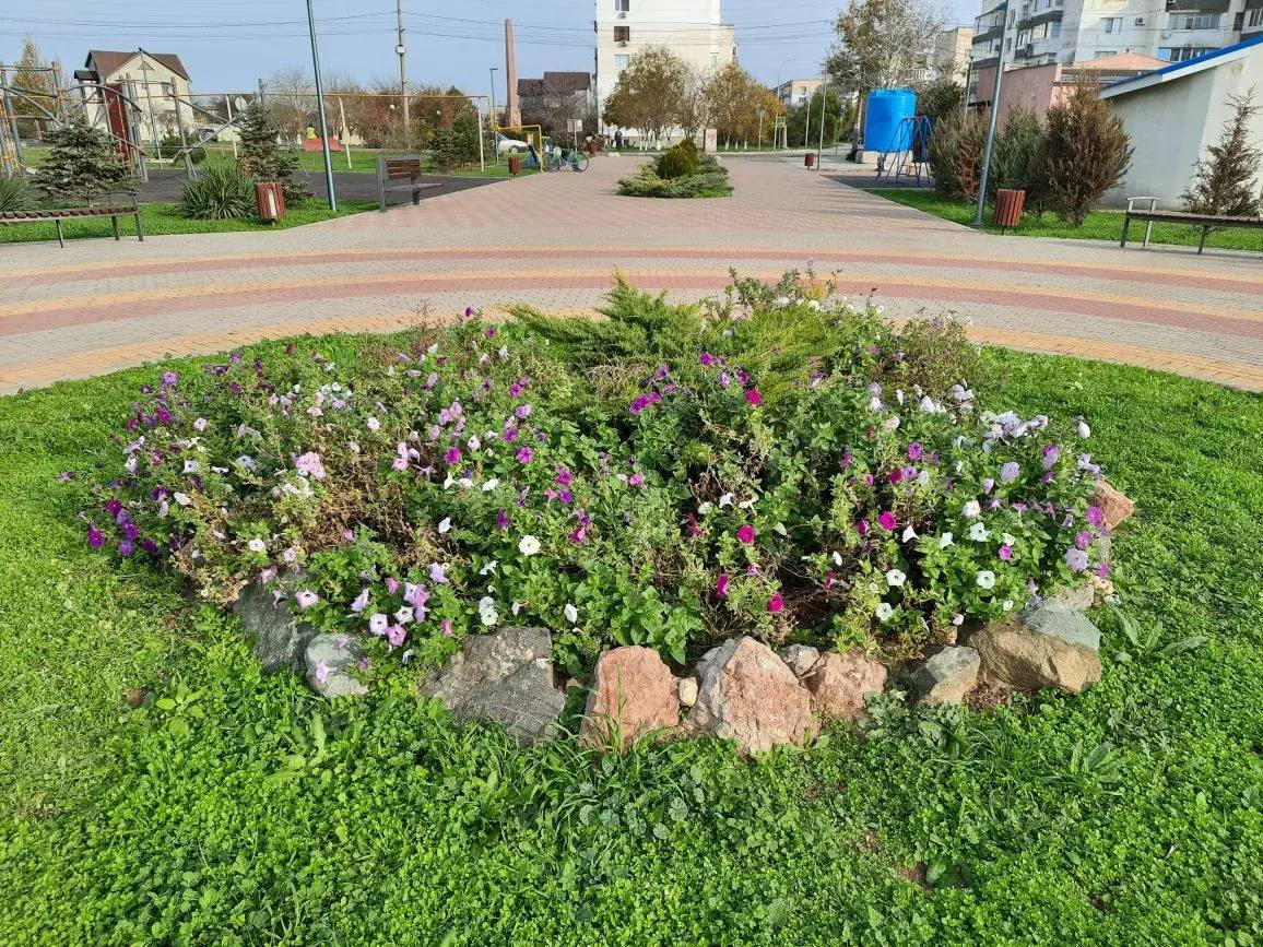 Александр Юрьев: Приступили к обустройству системы автоматического полива в Заозёрненском сквере Александр Юрьев: Приступили к обустройству системы автоматического полива в Заозёрненском сквере