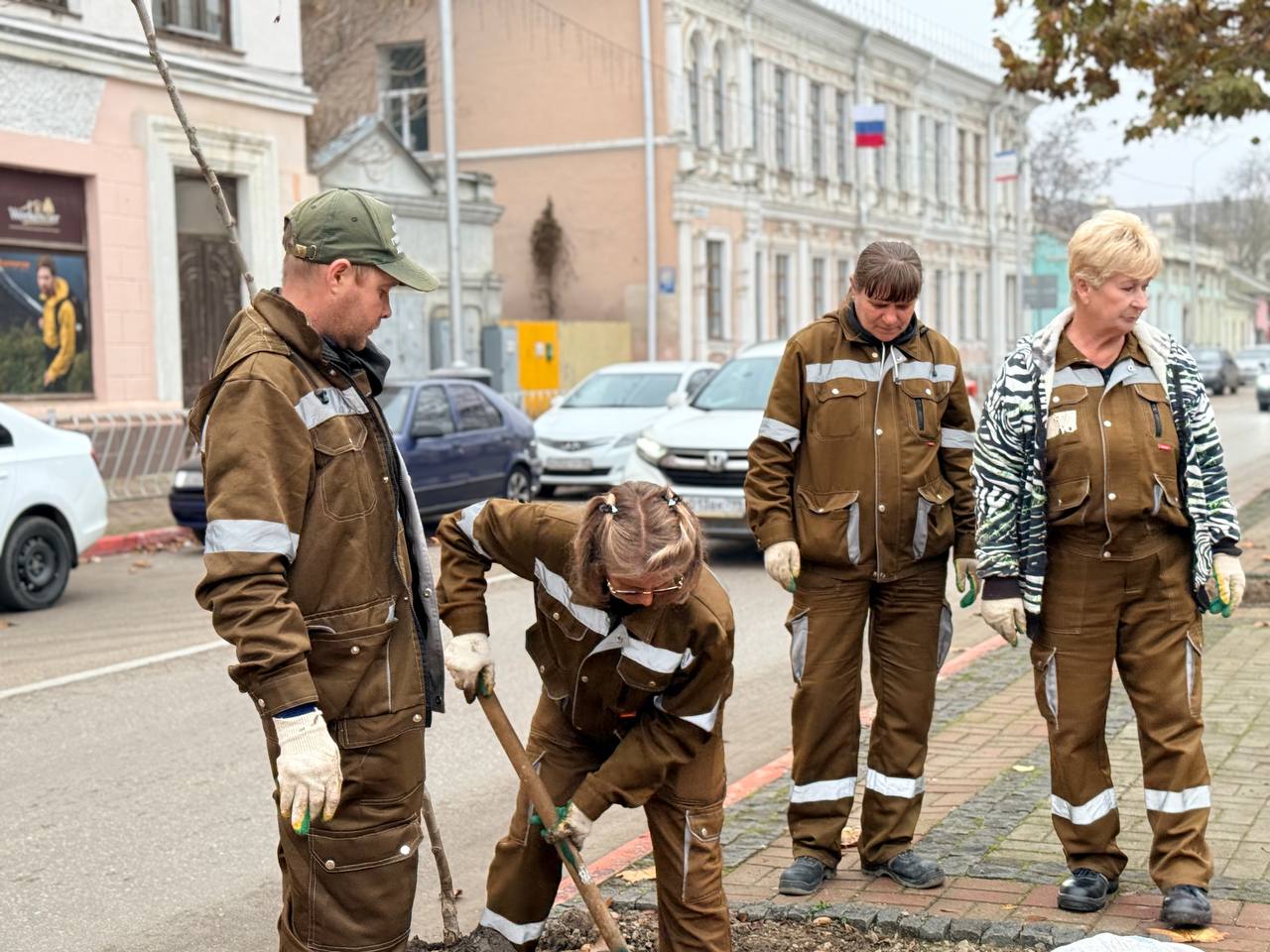 На улице Пирогова сотрудники Зеленхоза высаживают саженцы платанов На улице Пирогова сотрудники Зеленхоза высаживают саженцы платанов