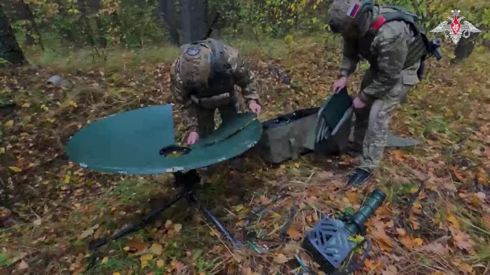 �������� 810-� ������� ������������� ����� ������������ ����������� ����� ������������ � ������������� � ����� �������� � ���� ���