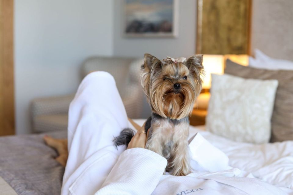 Два отеля Крыма получили сертификат «Путешествие с питомцами»