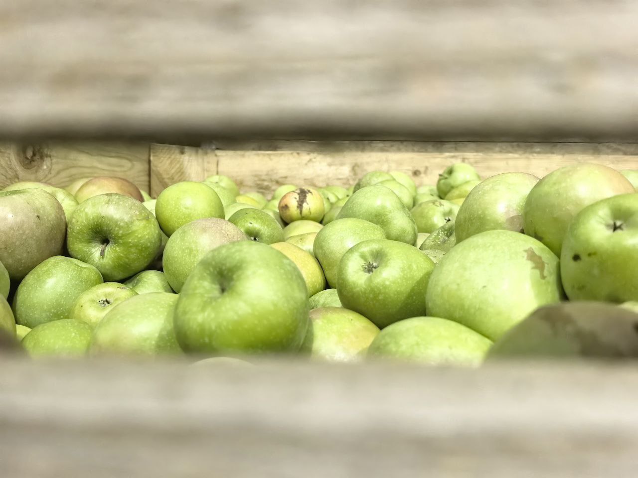 В Крыму такое количество объектов туристического показа, что кажется: куда ещё? Тысячи памятников археологии, истории, культуры, пешеходных туристических маршрутов и природных достопримечательностей В Крыму такое количество объектов туристического показа, что кажется: куда ещё? Тысячи памятников археологии, истории, культуры, пешеходных туристических маршрутов и природных достопримечательностей