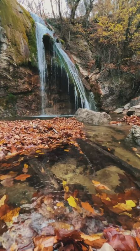 На это можно смотреть бесконечно…