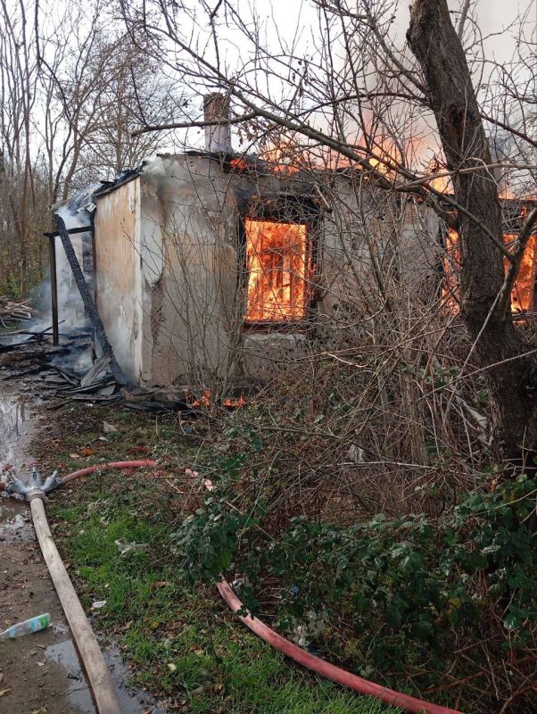 � ������� �������� ����� � ������� ���� �� 96 �����������