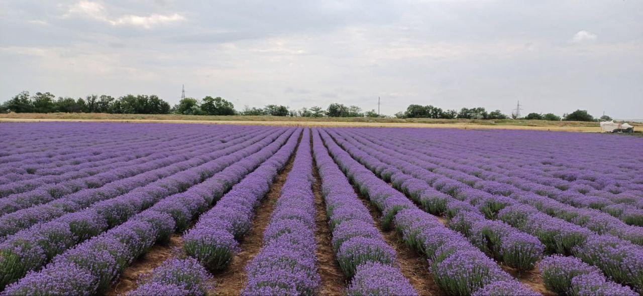 В Крыму такое количество объектов туристического показа, что кажется: куда ещё? Тысячи памятников археологии, истории, культуры, пешеходных туристических маршрутов и природных достопримечательностей В Крыму такое количество объектов туристического показа, что кажется: куда ещё? Тысячи памятников археологии, истории, культуры, пешеходных туристических маршрутов и природных достопримечательностей