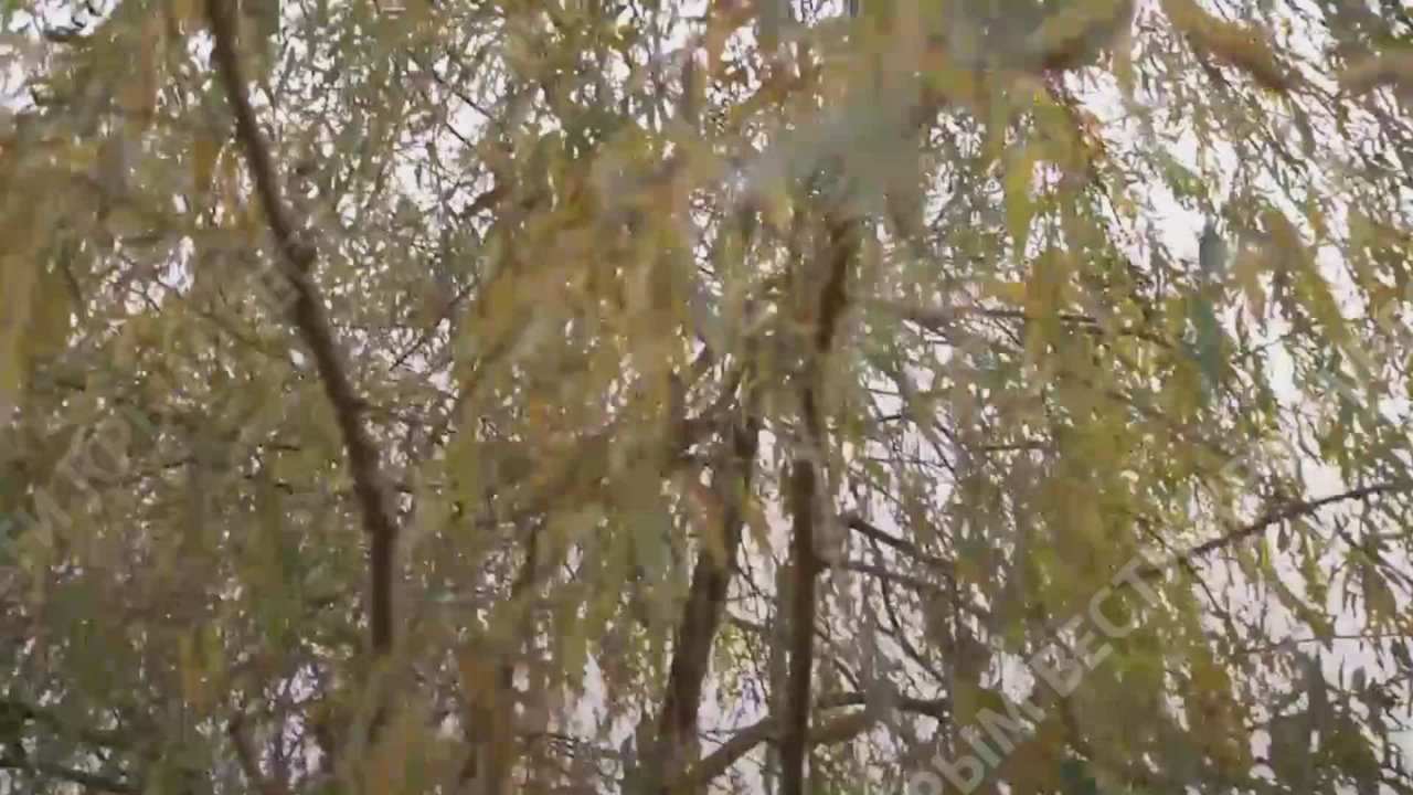 Как уберечь от пропажи пожилого родственника