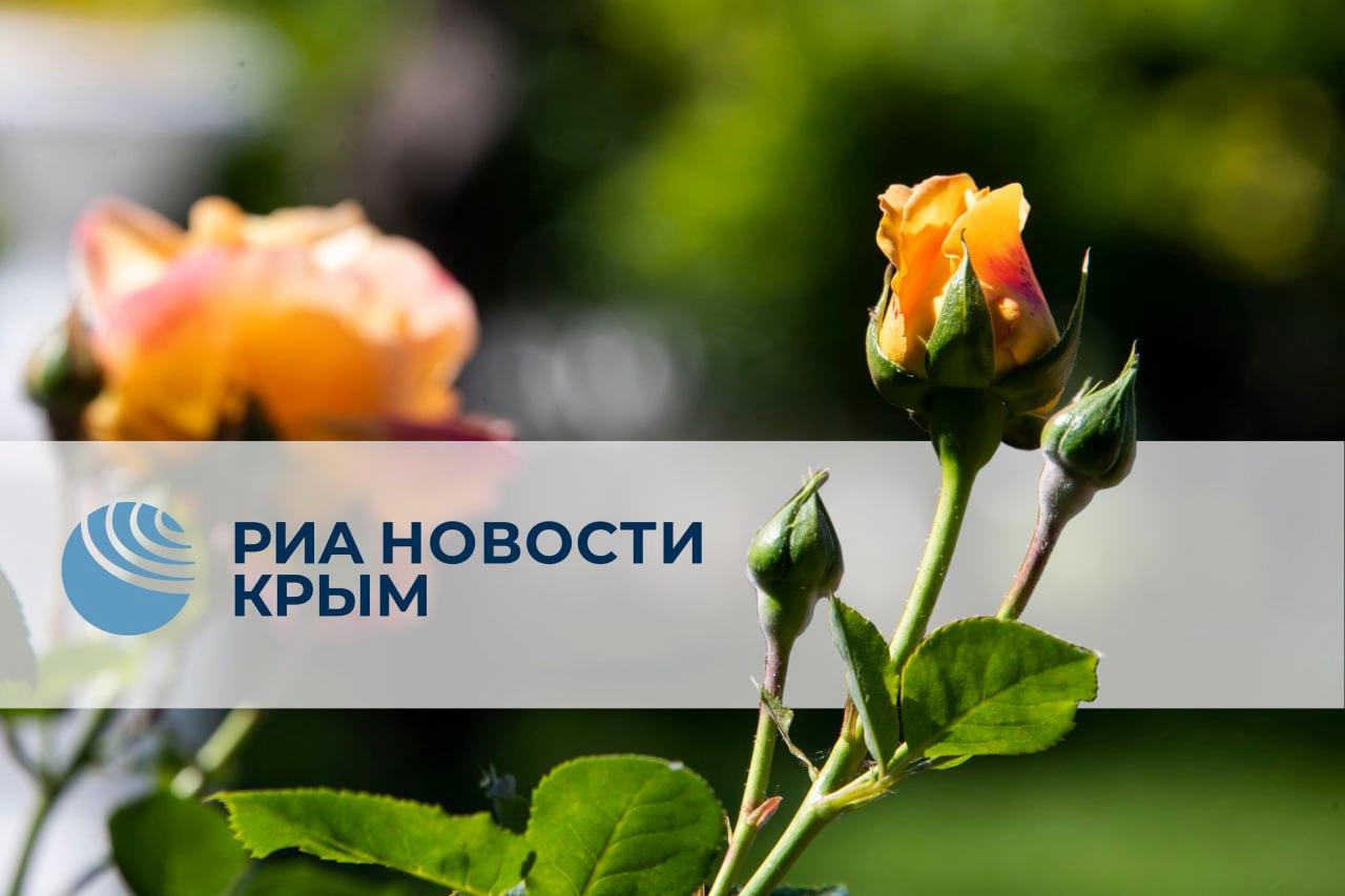 0 День с РИА Новости Крым