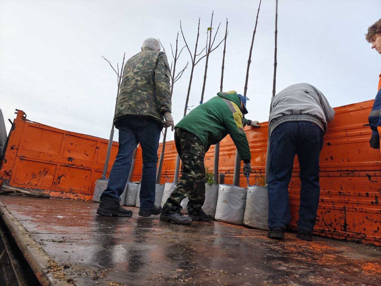 В Феодосии продолжается работа по озеленению В Феодосии продолжается работа по озеленению