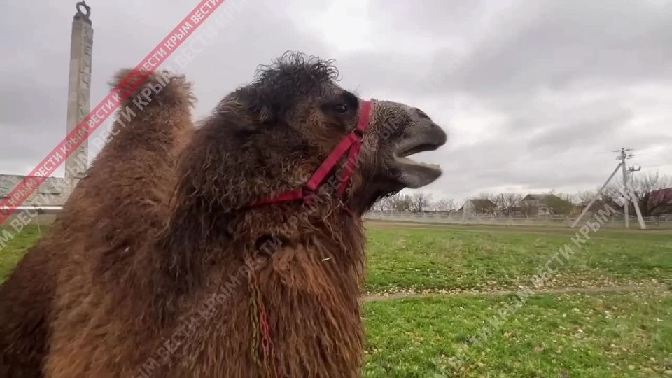 ���� ������ �� ��������� ���� �������������� �� �������