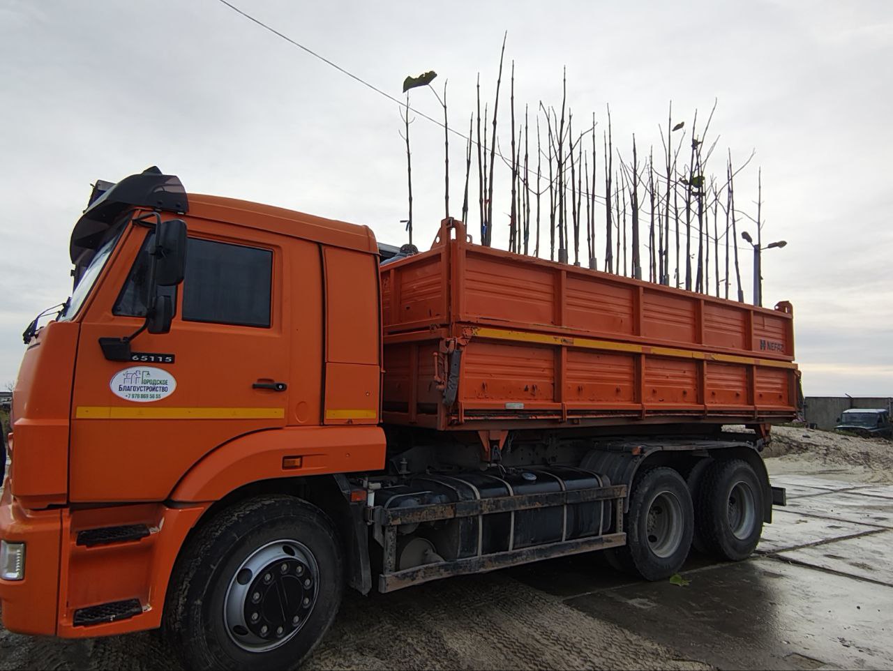 В Феодосии продолжается работа по озеленению В Феодосии продолжается работа по озеленению