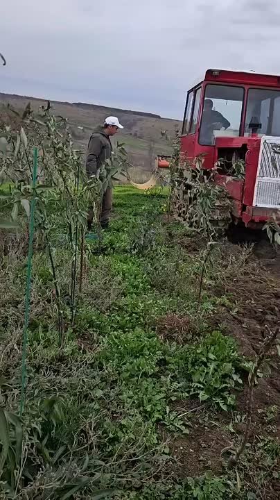 Сельское хозяйство — это не просто отрасль экономики