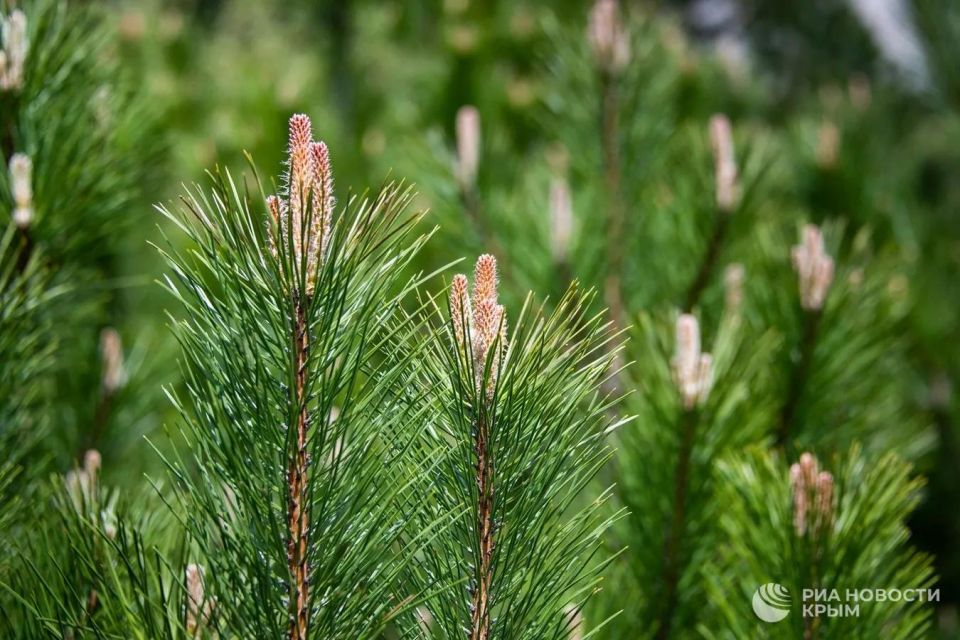 ����� ������� ����� ���� ������ � ���� �� ������ �������� ������