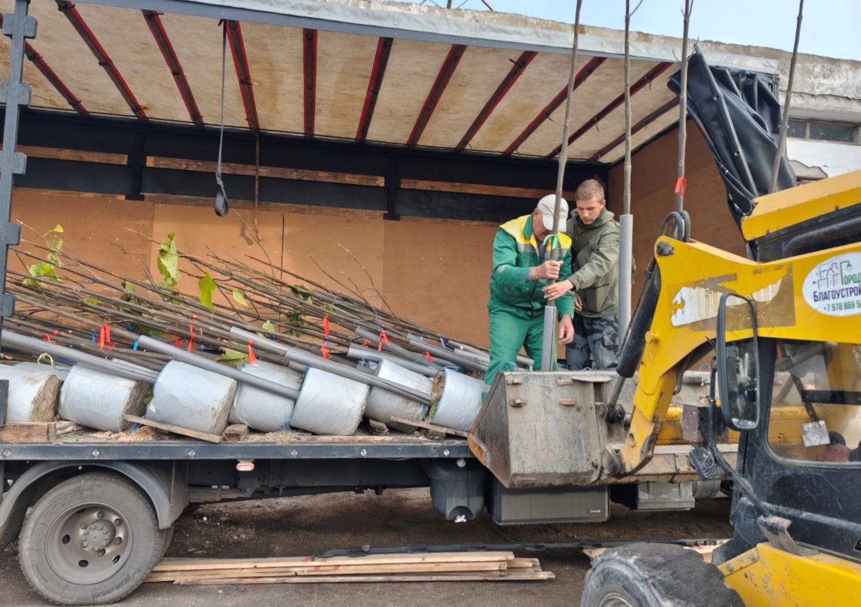 В Феодосии продолжается работа по озеленению В Феодосии продолжается работа по озеленению