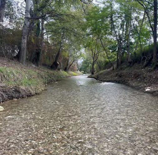 ������ ���������: ��������� ������ �� ��������� ����� ���� ������� � ������ ��������������