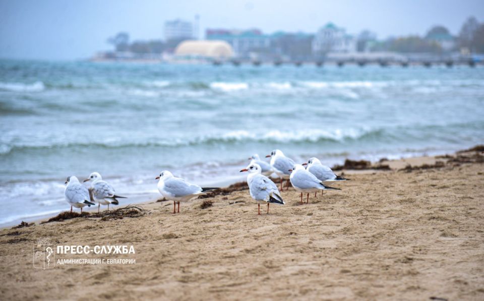 �������� � �����: ������� ������ � ����� �� ������