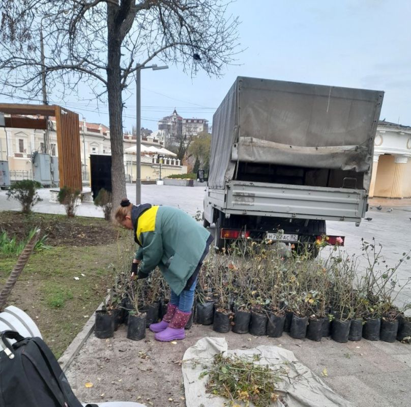 � �������� ������������ ������ �� ����������