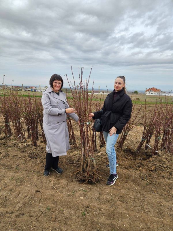 �������� ��������� � ��� �� ������ ������� ���������